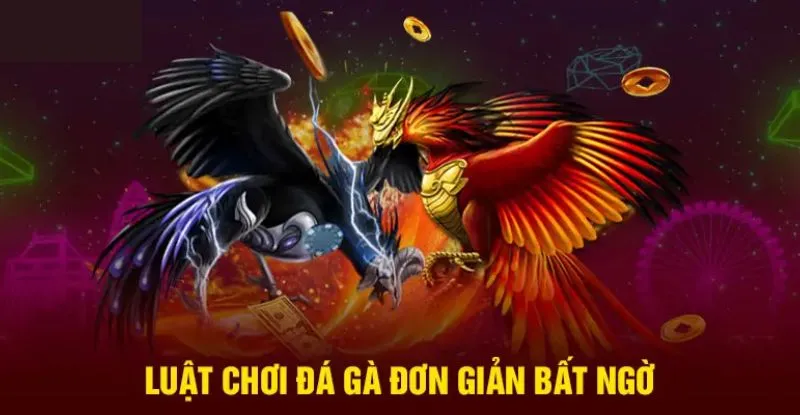 Luật chơi đá gà đơn giản cho anh em